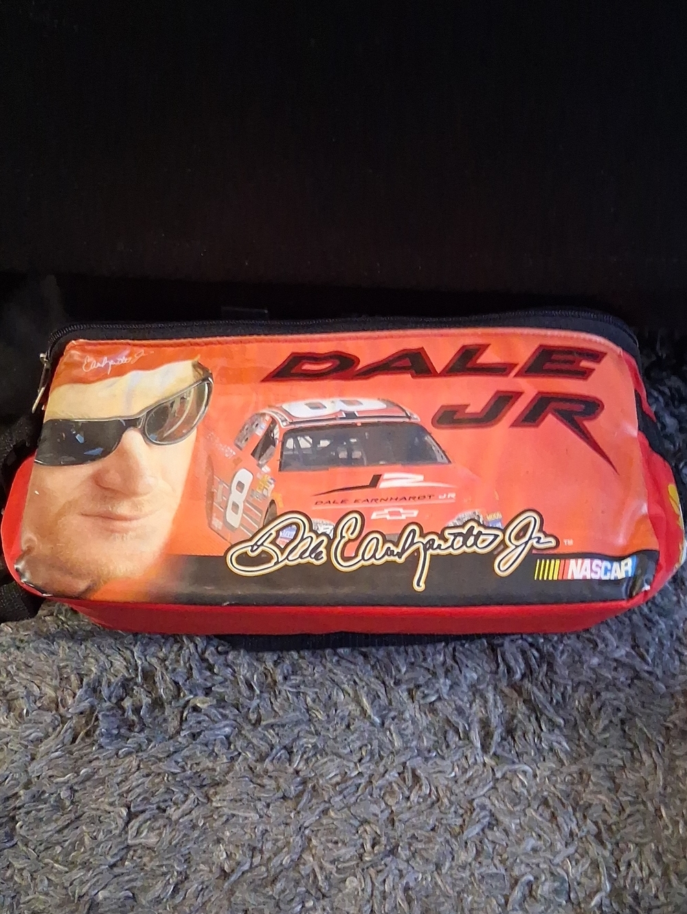 Cooler/Lunch Box